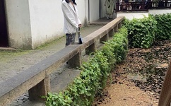 丛林奇兵百度影音